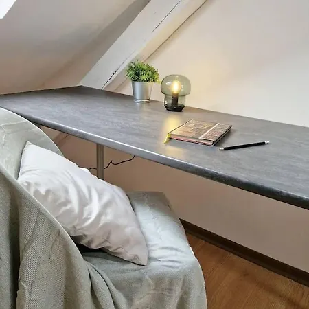 Petit Loft Centre Historique Proche Gare Tgv Appartamento Mulhouse