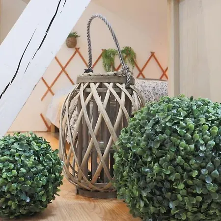 Petit Loft Centre Historique Proche Gare Tgv Apartmán Mylhúzy