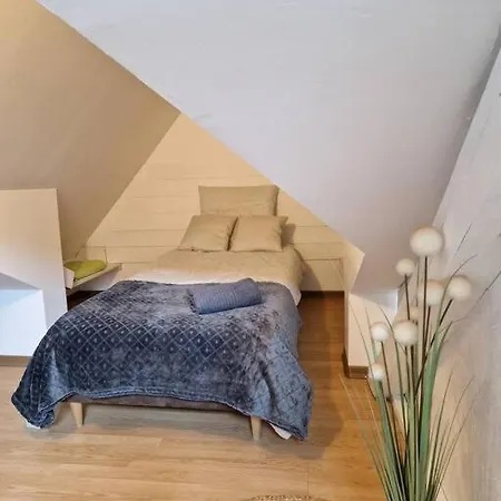 Petit Loft Centre Historique Proche Gare Tgv Apartament