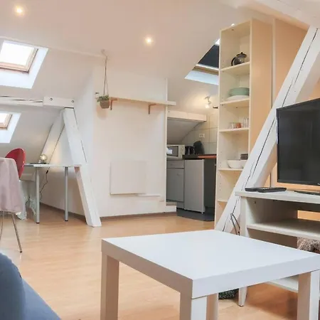 Petit Loft Centre Historique Proche Gare Tgv Mulhouse